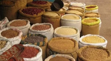 أسعار الأعلاف والحبوب اليوم تحركات أسعار الذرة والصويا تؤثر على تكلفة الإنتاج الزراعي 1